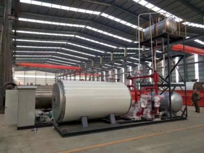 燃油燃气低氮导热油锅炉